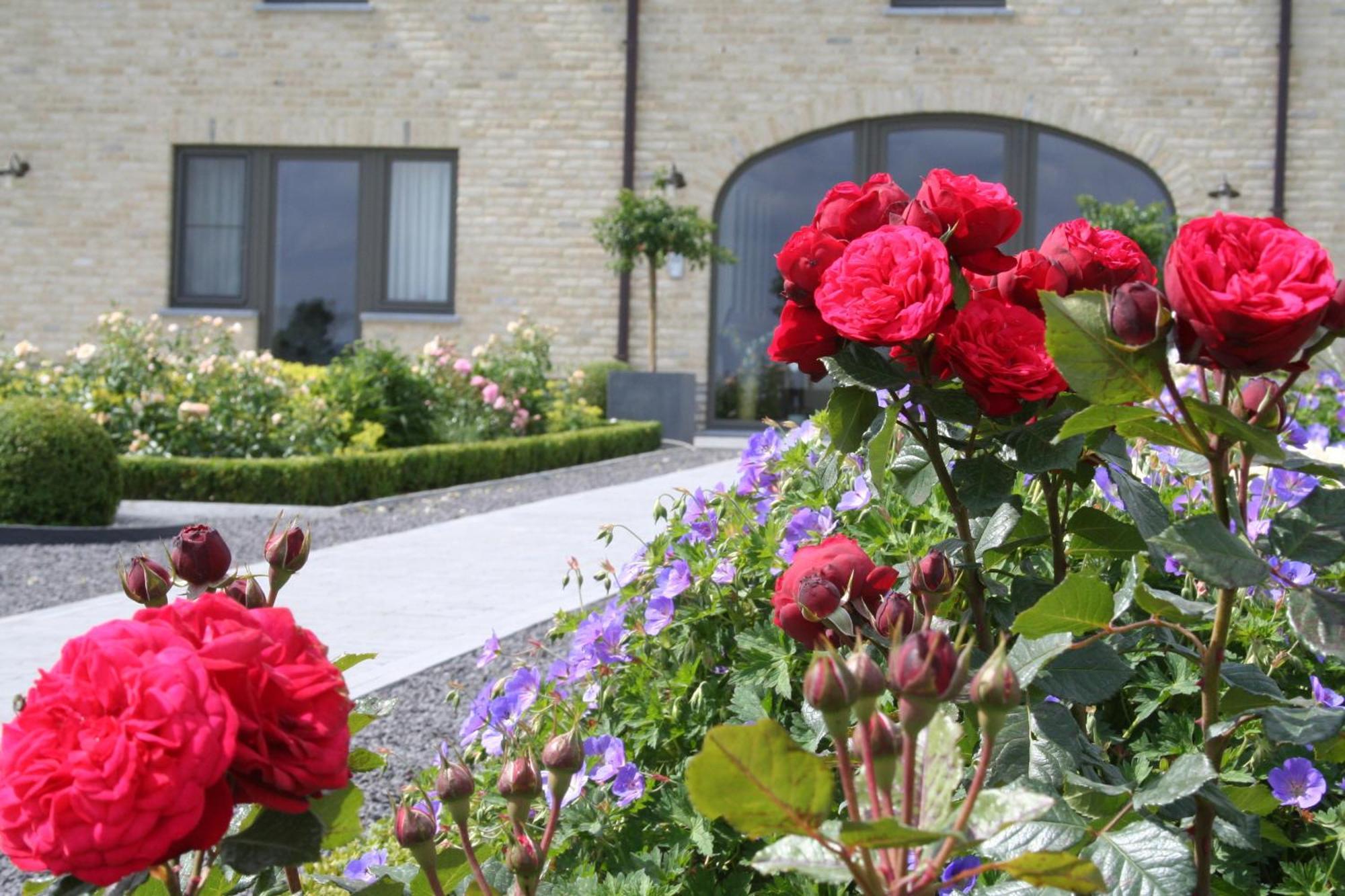 B&B La Vie En Roses Moorsel Eksteriør billede