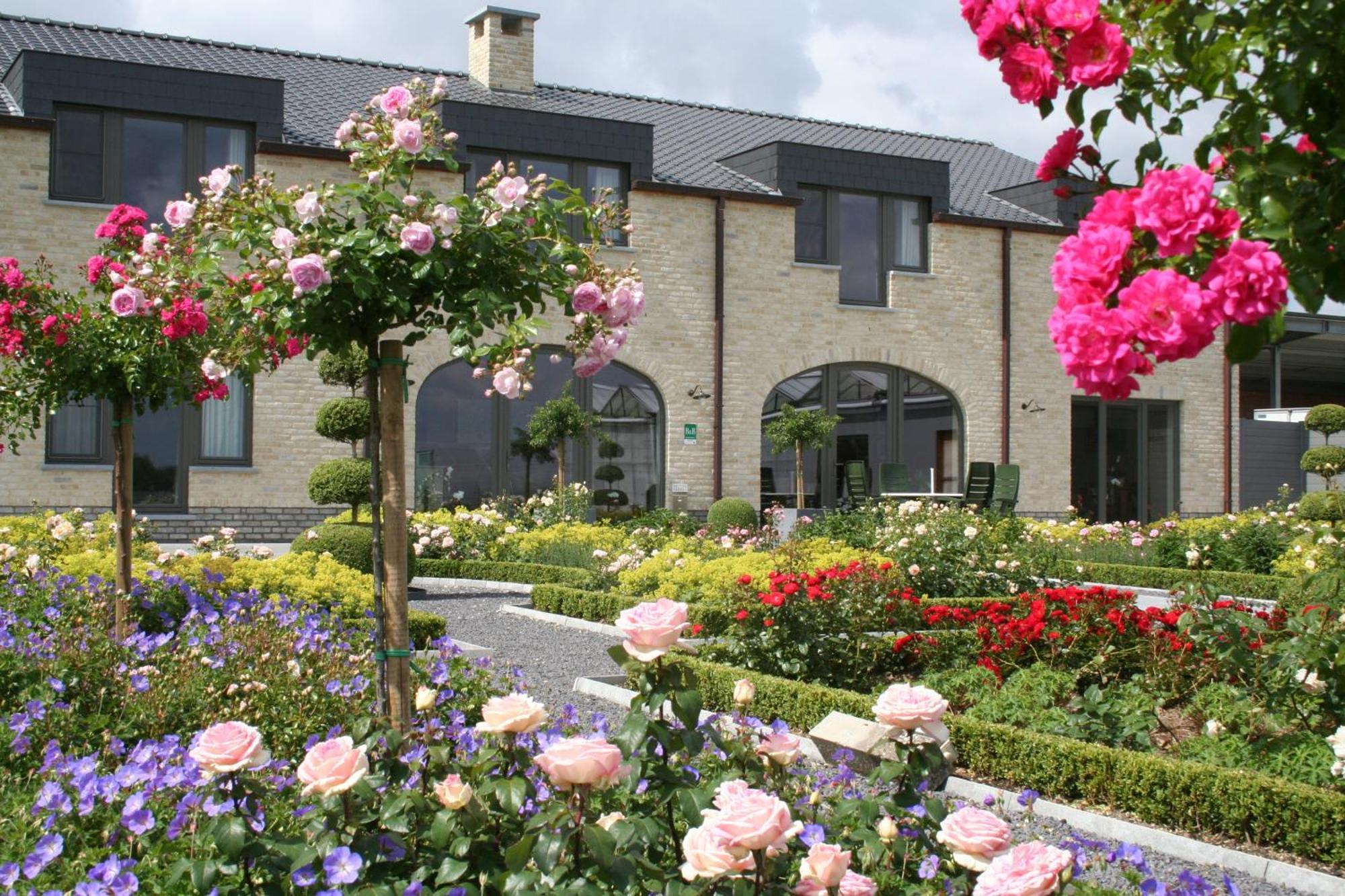 B&B La Vie En Roses Moorsel Eksteriør billede