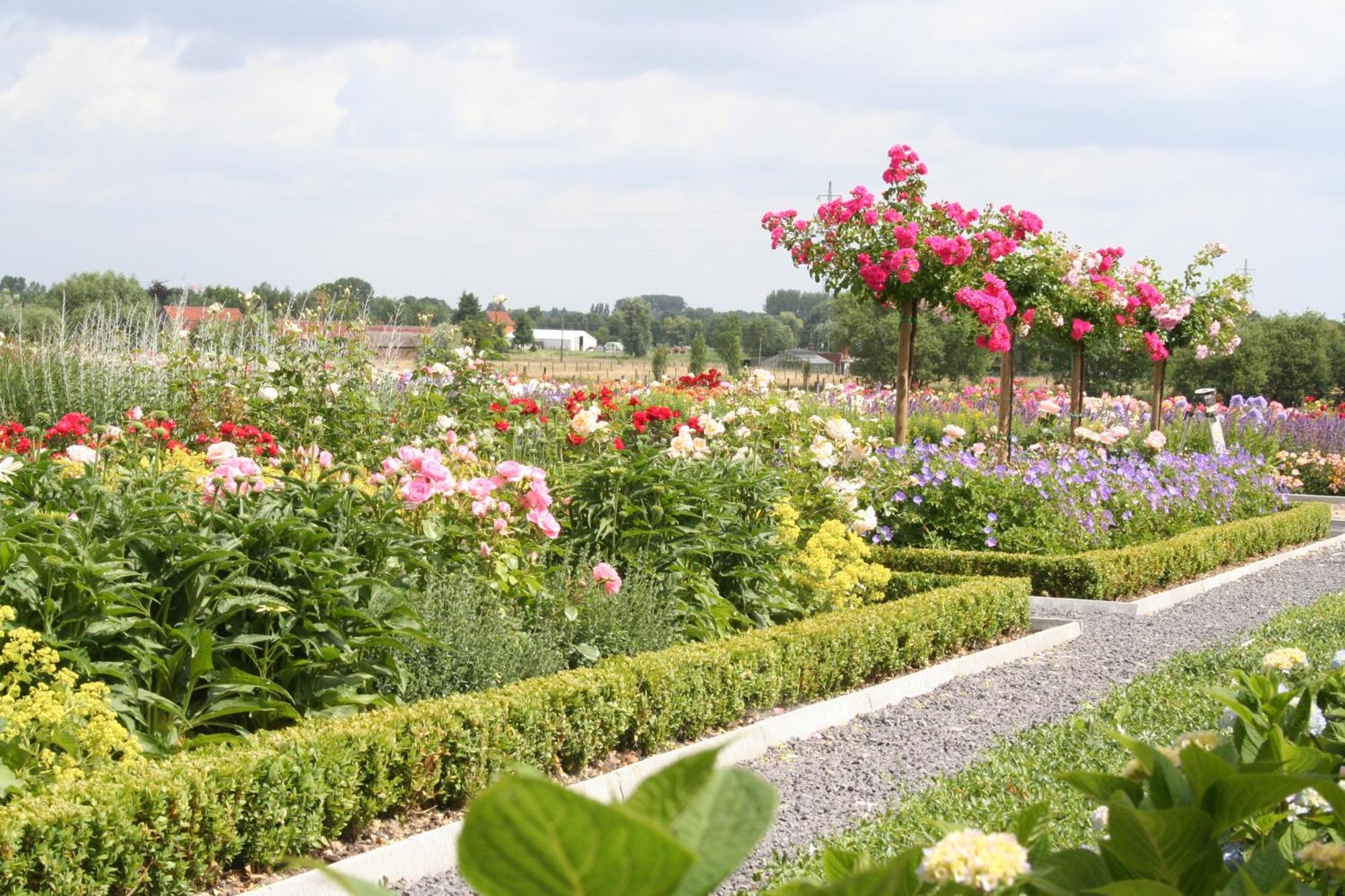 B&B La Vie En Roses Moorsel Eksteriør billede